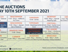 Friday Calendar 10/09/2021