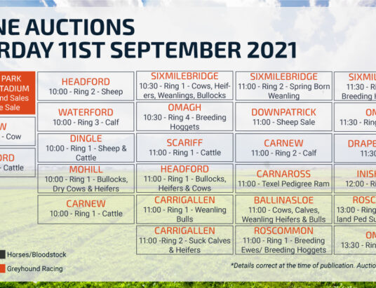 Online Auctions - Saturday Calendar 10/09/2021