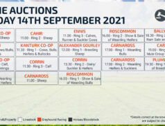 Online Auctions - Monday Calendar 13/09/2021