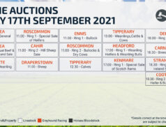 Online Auctions – Friday Calendar 17/09/2021