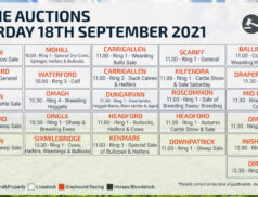 Online Auctions – Saturday Calendar 18/09/2021