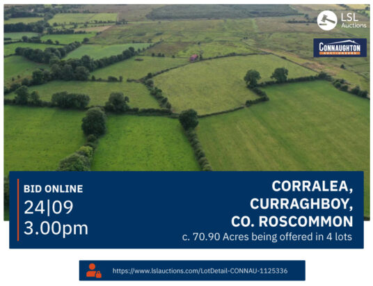 Corralea, Curraghboy, Co. Roscommon