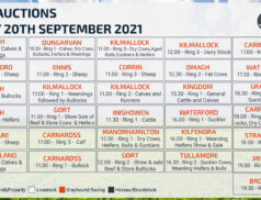 Online Auctions – Monday Calendar 20/09/2021