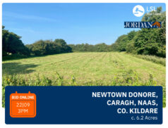 JORDAN AUCTIONEERS - NEWTOWN DONORE, CARAGH, NAAS, CO. KILDARE