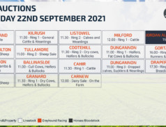 Online Auctions – Wednesday Calendar 22/09/2021