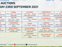 Online Auctions – Thursday Calendar 23/09/2021