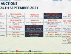 Online Auctions – Friday Calendar 24/09/2021