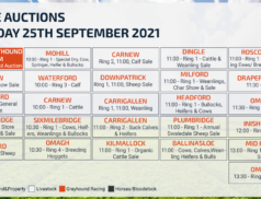 Online Auctions – Saturday Calendar 25/09/2021