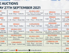 Online Auctions – Monday Calendar 27/09/2021