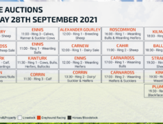 Online Auctions – Tuesday Calendar 28/09/2021