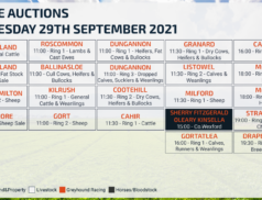 Online Auctions – Wednesday Calendar 29/09/2021