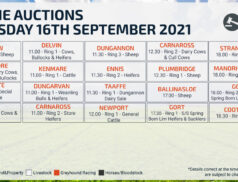 Online Auctions – Thursday Calendar 16/09/2021