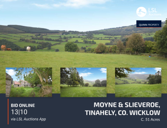 Quinn Property - Moyne & Slieveroe, Tinahely, Co. Wicklow
