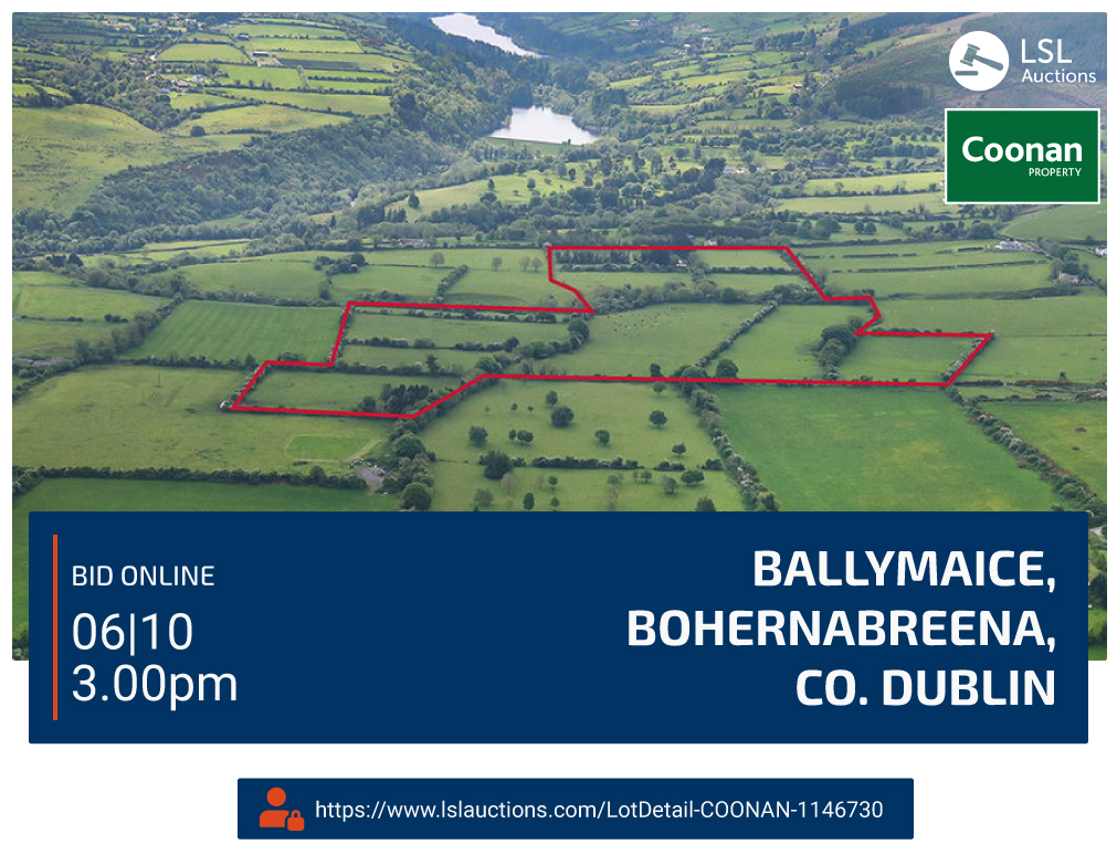 Coonan Property - Ballymaice, Bohernabreena, Co.Dublin