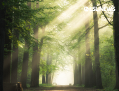 Ireland Weather Forecast: Tuesday