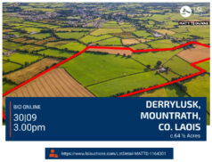 Matt Dunne & Associates - Derrylusk, Mountrath, Co. Laois