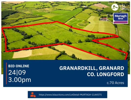 Granardkill, Granard, Co. Longford