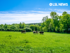 BSE case discovered on an English farm