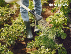 Warning to 'armchair farmers' to use entitlements or they will be withdrawn