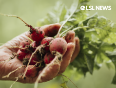First official EU Organic Day launched