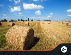 Farmers can apply for TB compensation online