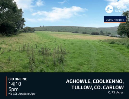 Quinn Property - Aghowle, Coolkenno, Tullow, Co. Carlow