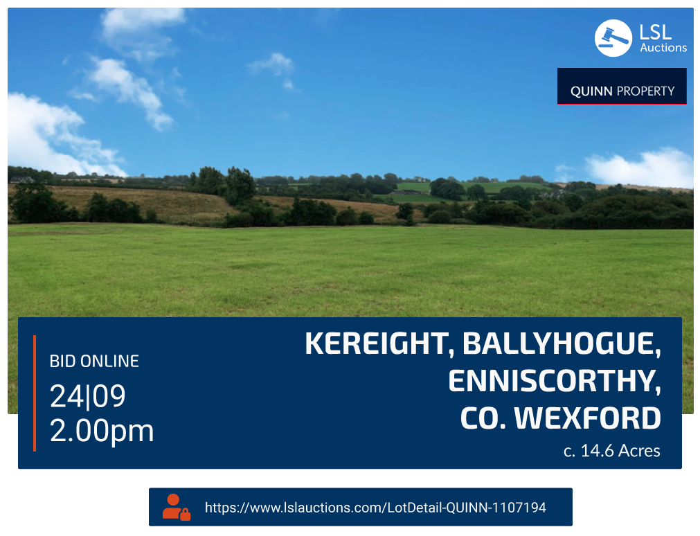 Quinn Property - Holding at Kereight, Ballyhogue, Enniscorthy, Co.Wexford