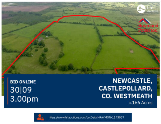 Newcastle, Castlepollard, Co. Westmeath