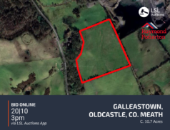 Raymond Potterton - Galleastown, Oldcastle, Co. Meath