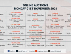 Online Auctions – Monday’s Calendar 01/11/2021