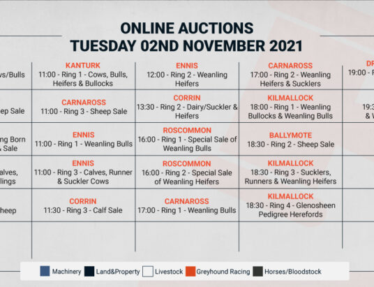 Online Auctions – TUESDAY’s Calendar 02/11/2021