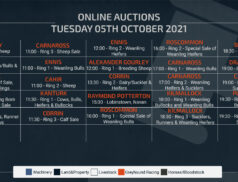 Online Auctions – Tuesday Calendar 05/10/2021