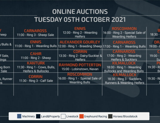 Online Auctions – Tuesday Calendar 05/10/2021