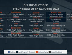 Online Auctions – Wednesday Calendar 06/10/2021