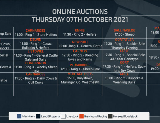 Online Auctions – Thursday Calendar 07/10/2021