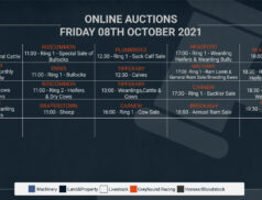 Online Auctions – Friday's Calendar 08/10/2021