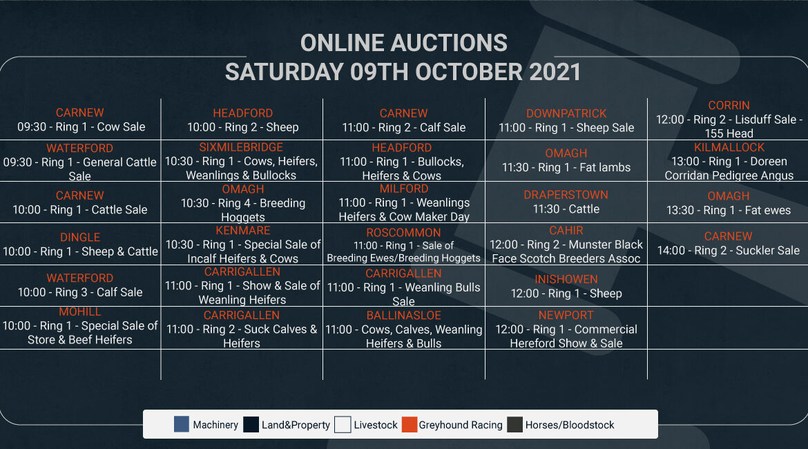 Online Auctions – Saturday’s Calendar 09/10/2021