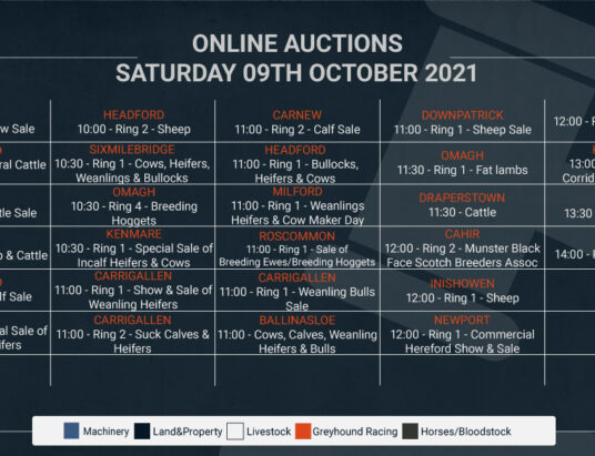 Online Auctions – Saturday’s Calendar 09/10/2021