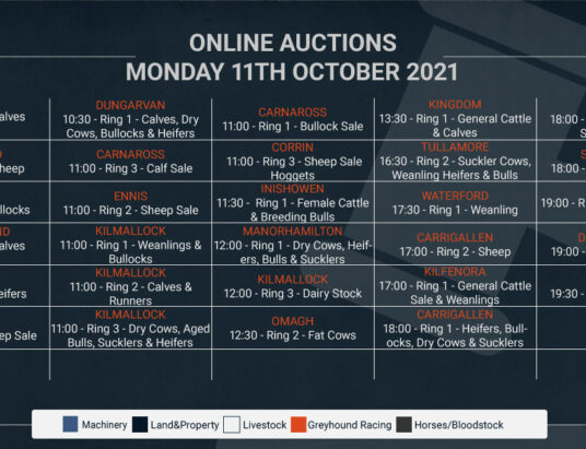 Online Auctions – Monday’s Calendar 11/10/2021