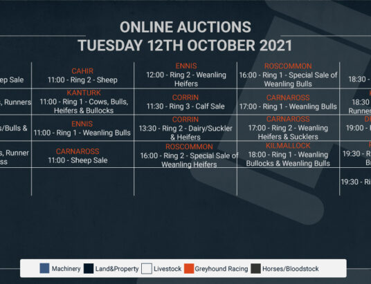 Online Auctions – Tuesday’s Calendar 12/10/2021