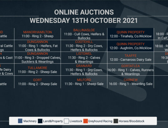 Online Auctions – Wednesday’s Calendar 13/10/2021