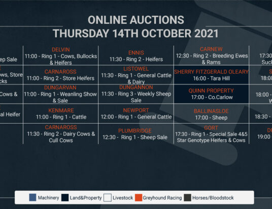 Online Auctions – Thursday’s Calendar 14/10/2021