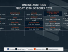Online Auctions – Friday’s Calendar 15/10/2021
