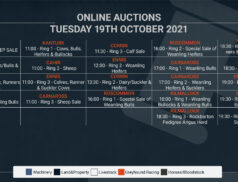 Online Auctions – Tuesday’s Calendar 19/10/2021