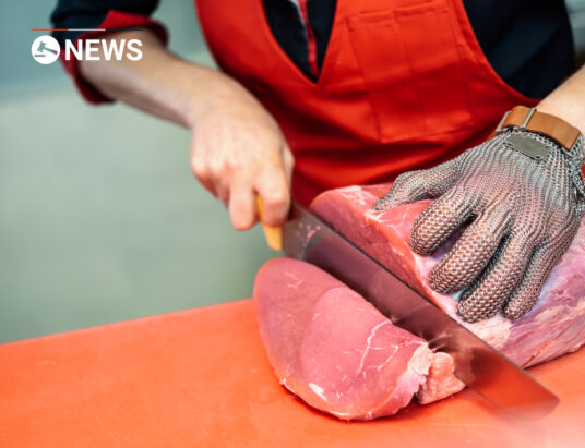Visas given to 800 foreign butchers to help UK pig crisis