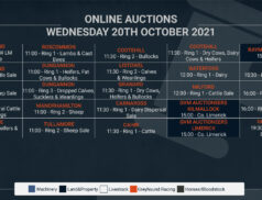 Online Auctions – Wednesday’s Calendar 20/10/2021