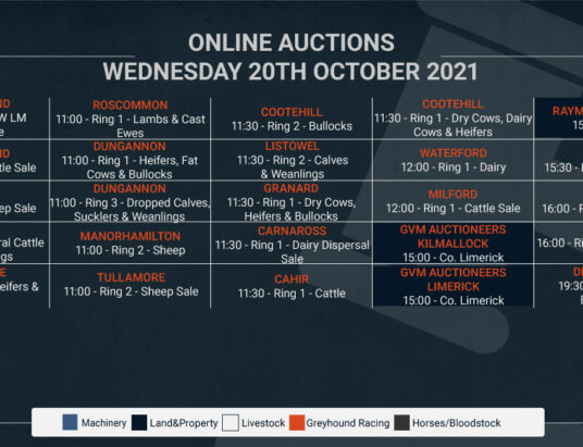 Online Auctions – Wednesday’s Calendar 20/10/2021