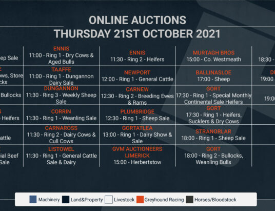 Online Auctions – Thursday’s Calendar 21/10/2021