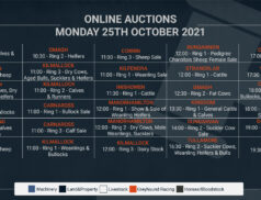 Online Auctions – Monday’s Calendar 25/10/2021