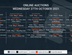 Online Auctions – Wednesday’s Calendar 27/10/2021